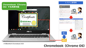 Chromebook̏ؖCXg[